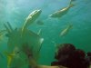 stingraycity7.jpg