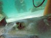 stingraycity8.jpg