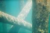 pilings1.JPG