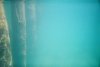 pilings4.JPG