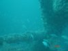 DSC01455b.JPG