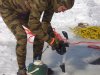 Ice Dive 2007 - defogging with warm water.JPG