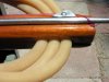 speargun rigging 046.jpg