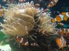 aquarium 2.jpg