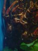 aquarium 5.jpg