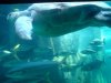 aquarium 7.jpg