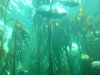 aquarium 9.jpg