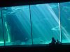 DSC00250.jpg