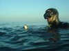 spearfish 009.jpg