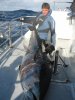 bluefin comp.JPG