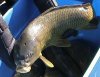 PIC_00592.jpg
