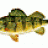 bglaeser