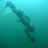 rbdiver