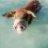 paddler3d