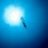 Tigrotta Apnea