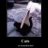 beconfly