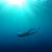 divingfree