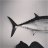 Freediver007