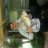 Darcy.B97