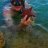 eridiver22