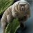 Tardigrade