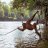 Aquatic_Ape _Theory
