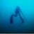 Daniel - Acqua Divers