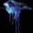 bluebottle