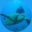 scubaeilat
