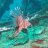 Red Fish