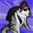 Sky-Dogg