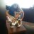 peruko