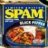 Spam
