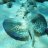 divingfactor