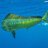 tunataco