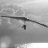 wingdancer
